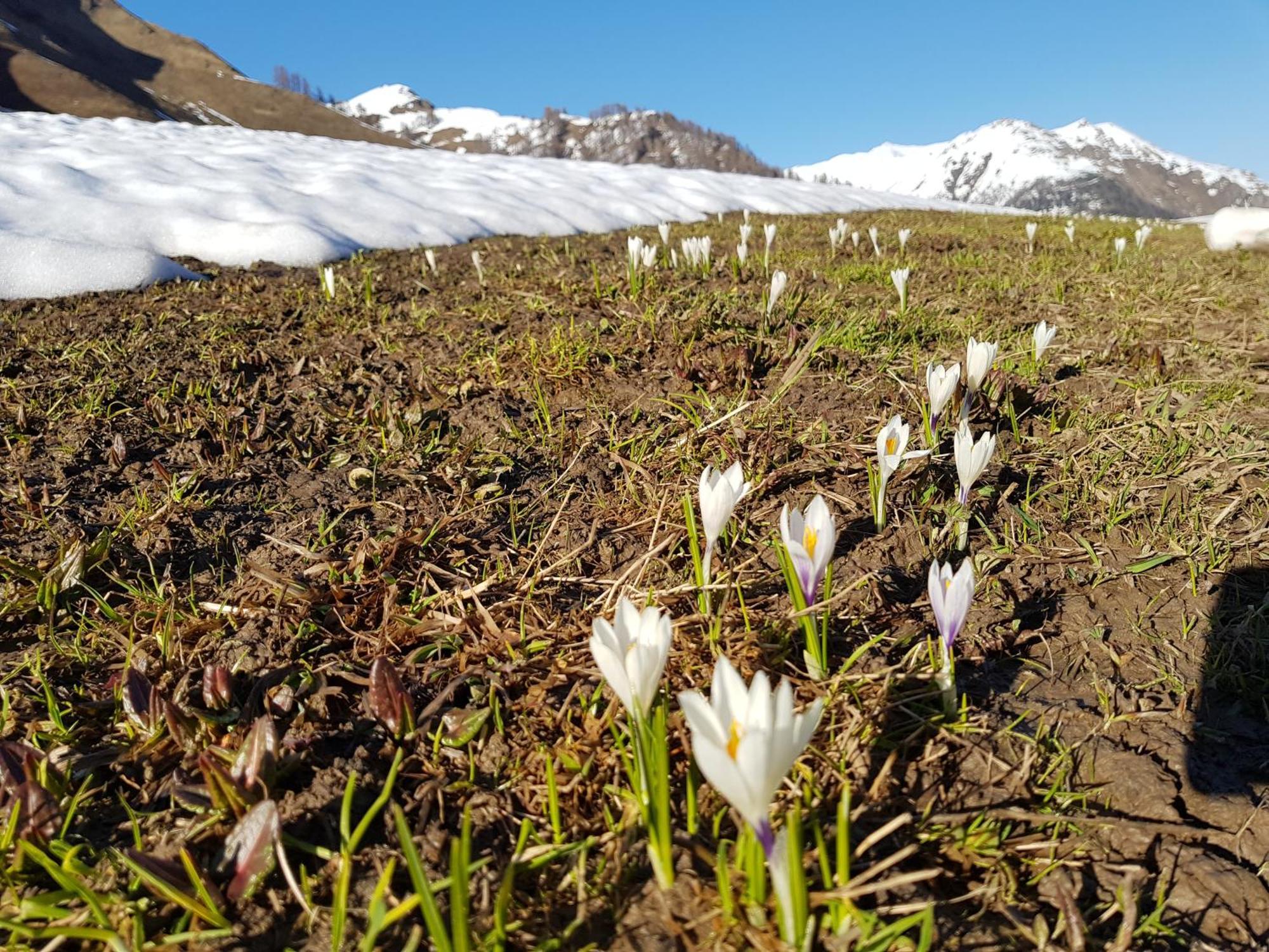 Apart Foresta Самнаун Екстериор снимка